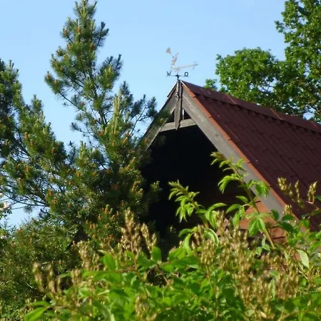 In Suettorf With Swimming Pool * Sottorf