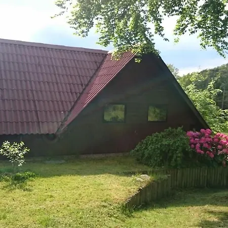 In With Swimming Pool * Suettorf