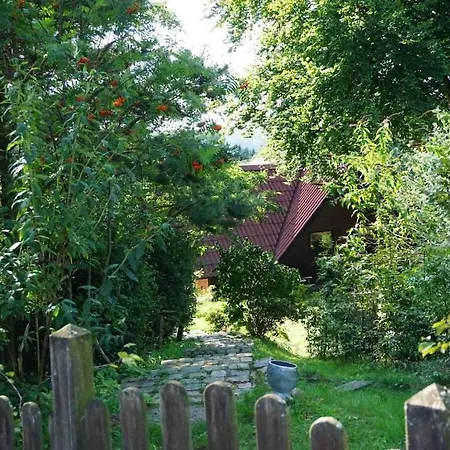 In With Swimming Pool