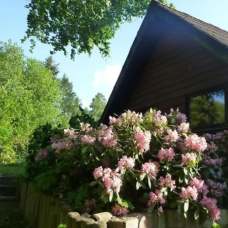 In Suettorf With Swimming Pool *