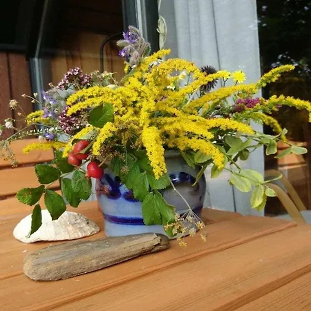 In Suettorf With Swimming Pool Semesterbostad Sottorf