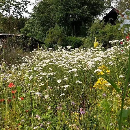 In Suettorf With Swimming Pool Semesterbostad