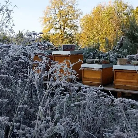 In Suettorf With Swimming Pool