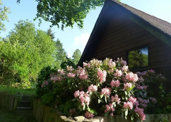 In Suettorf With Swimming Pool *