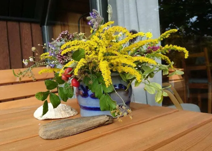 In Suettorf With Swimming Pool Casa vacanze Sottorf