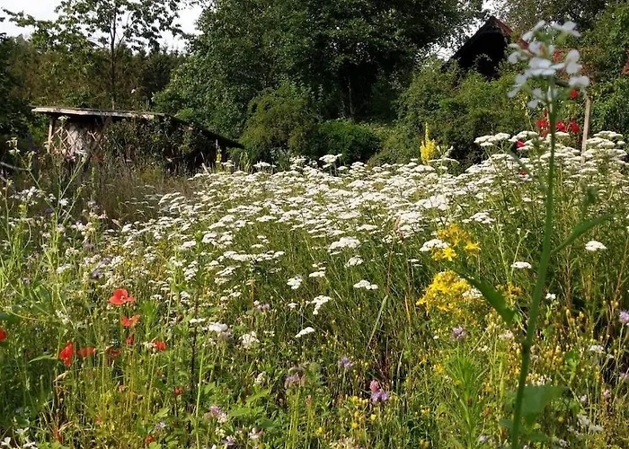 In Suettorf With Swimming Pool Ferienhaus