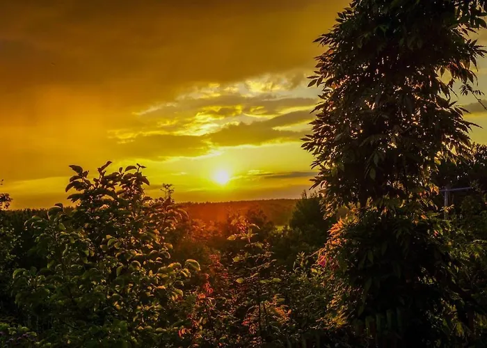 In Suettorf With Swimming Pool Ferienhaus