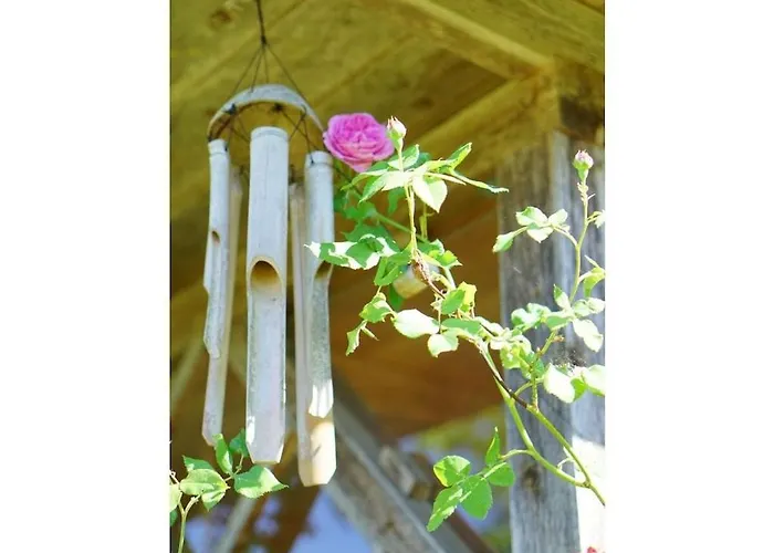 In Suettorf With Swimming Pool Casa vacanze Sottorf