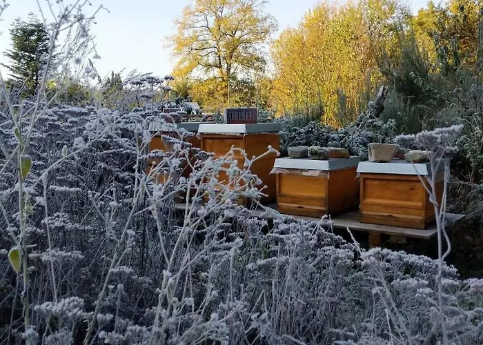 In Suettorf With Swimming Pool